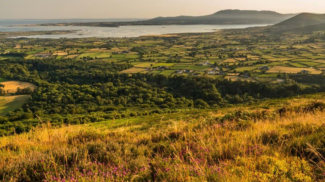 An extremely rare and ancient wildlife haven in the Mournes